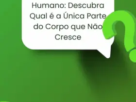 Verde e Branco Moderna Nutricionista Dica de Nutricao Story