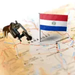Armas de fogo Paraguai para comprar