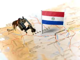 Armas de fogo Paraguai para comprar